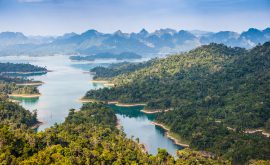 Khao Sok Nationalpark mit Übernachtung im Baumhaus in Südthailand